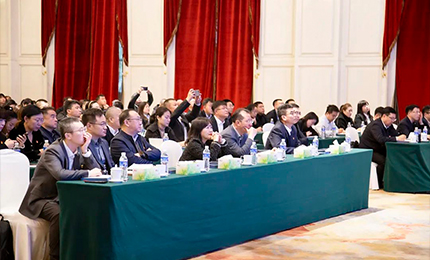 千亿国际集团党委“书记带项目”工作阶段性进展汇报会成功召开