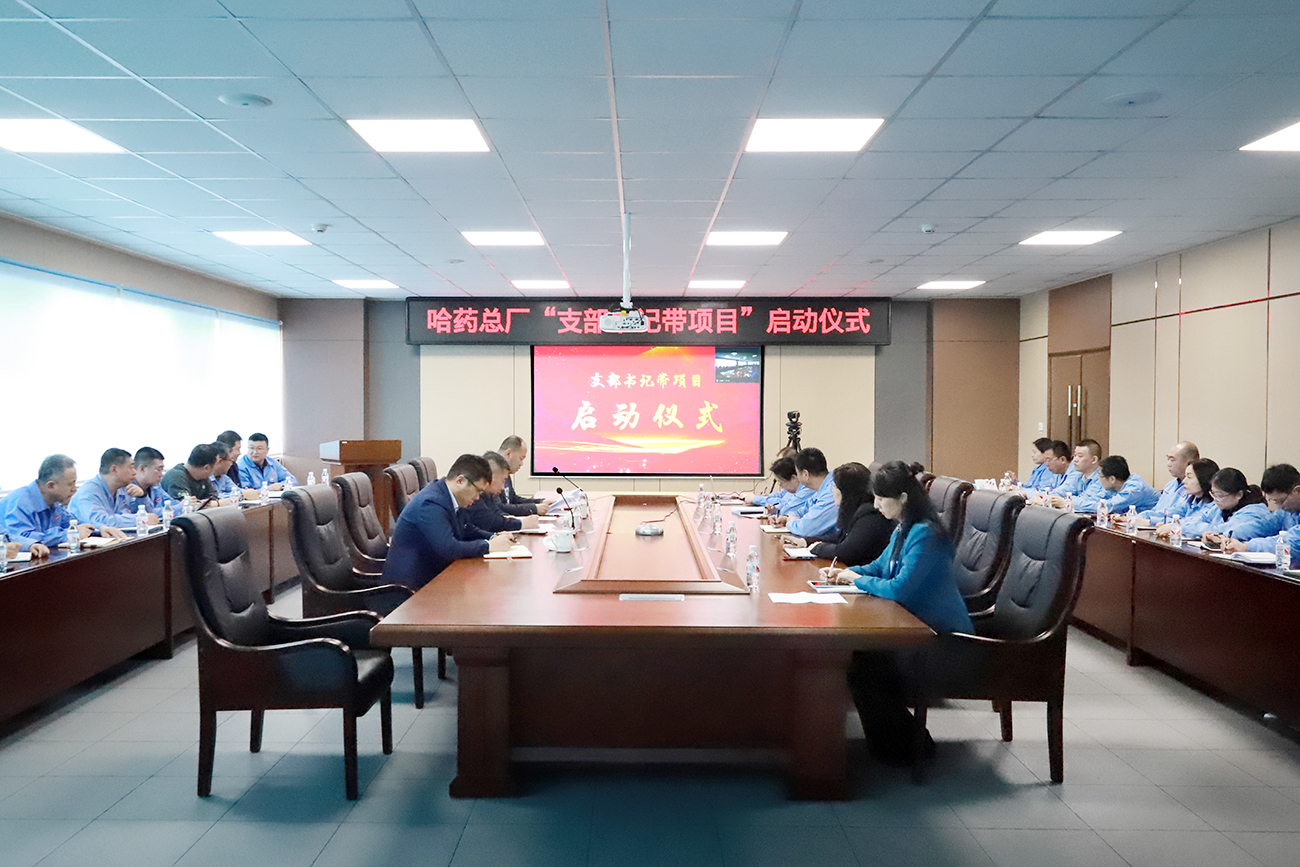 党建领航“加速度” 打造发展“强引擎”——千亿国际总厂党委召开“支部书记带项目”启动仪式